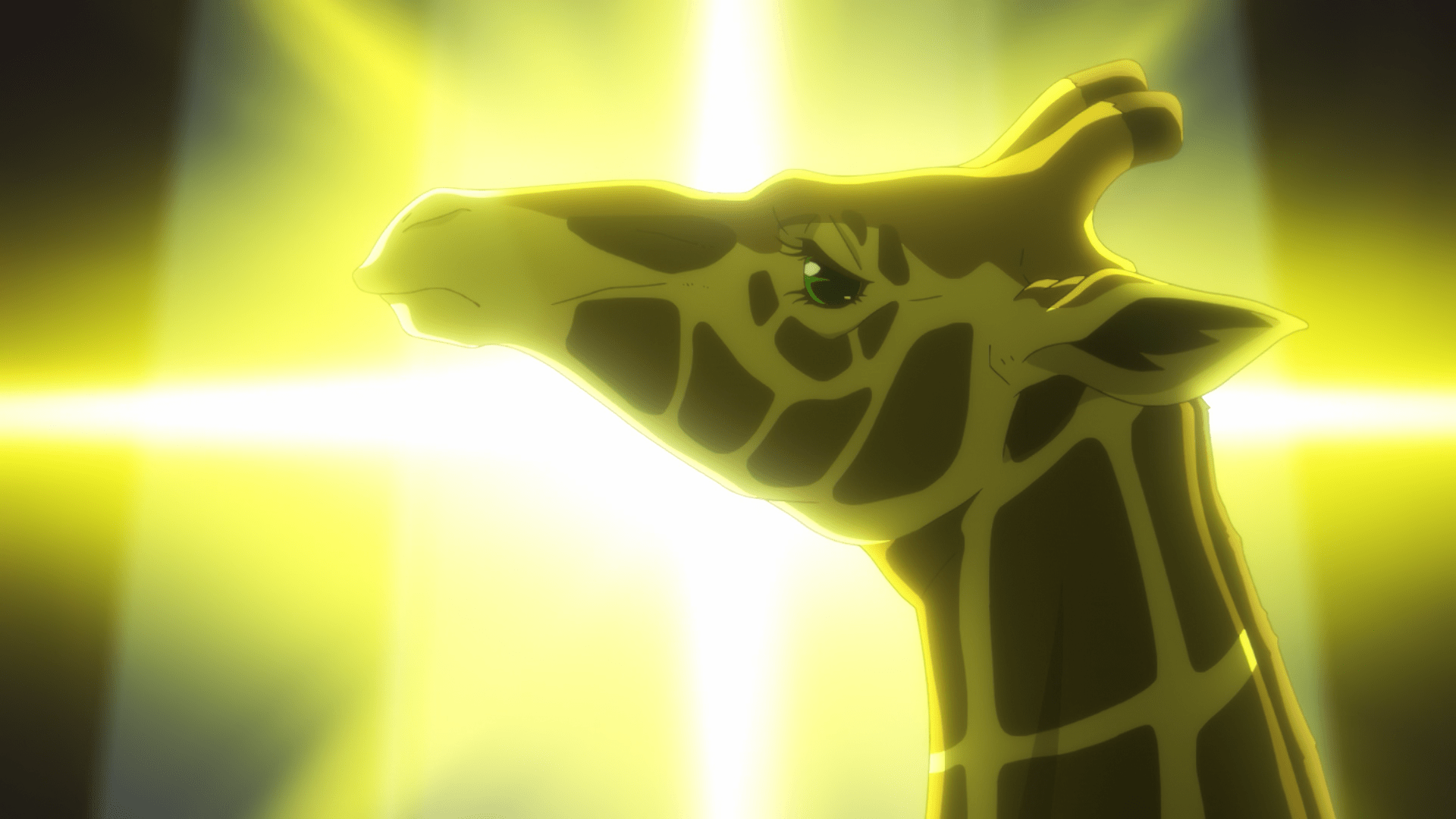 Mr Giraffe